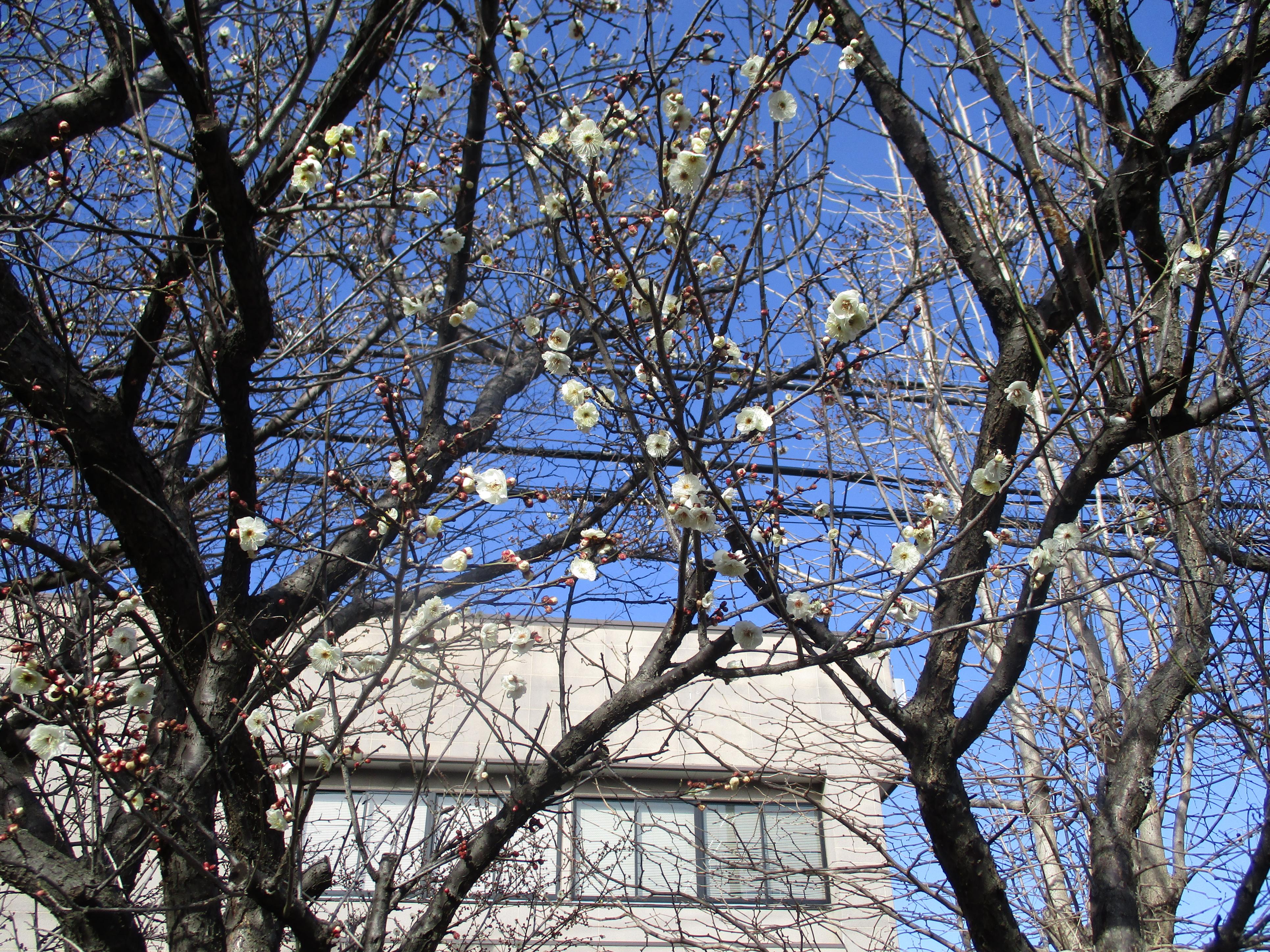 IMG_3802 IMG_3802