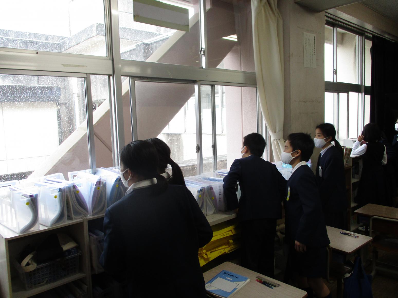 IMG_4249 IMG_4249