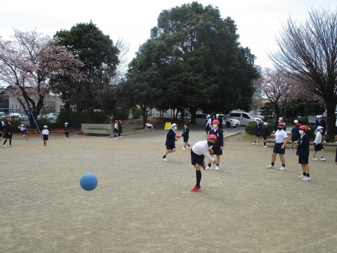 IMG_4577 IMG_4577
