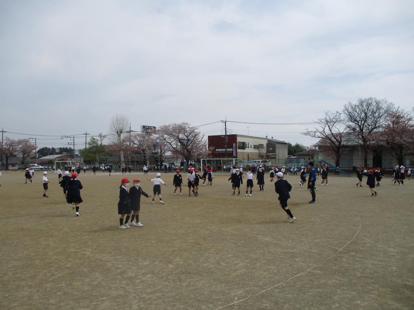 IMG_4581 IMG_4581