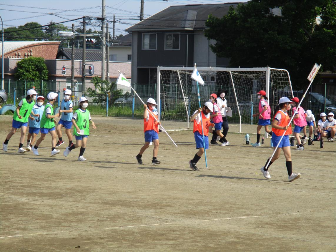 IMG_5069 IMG_5069