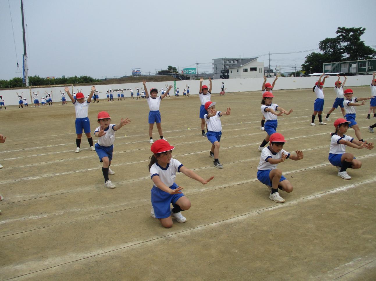 IMG_5095 IMG_5095