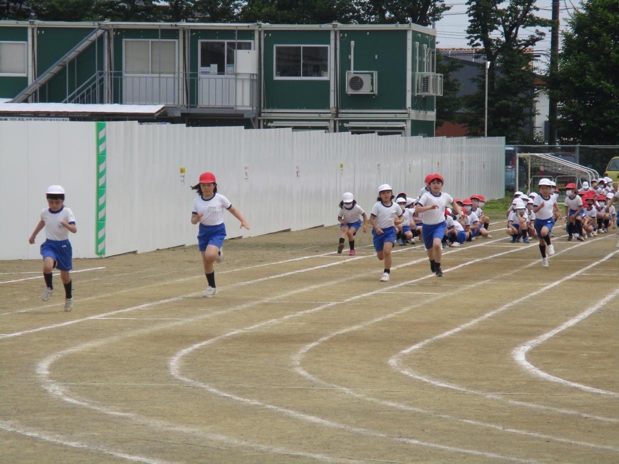 IMG_5100 IMG_5100