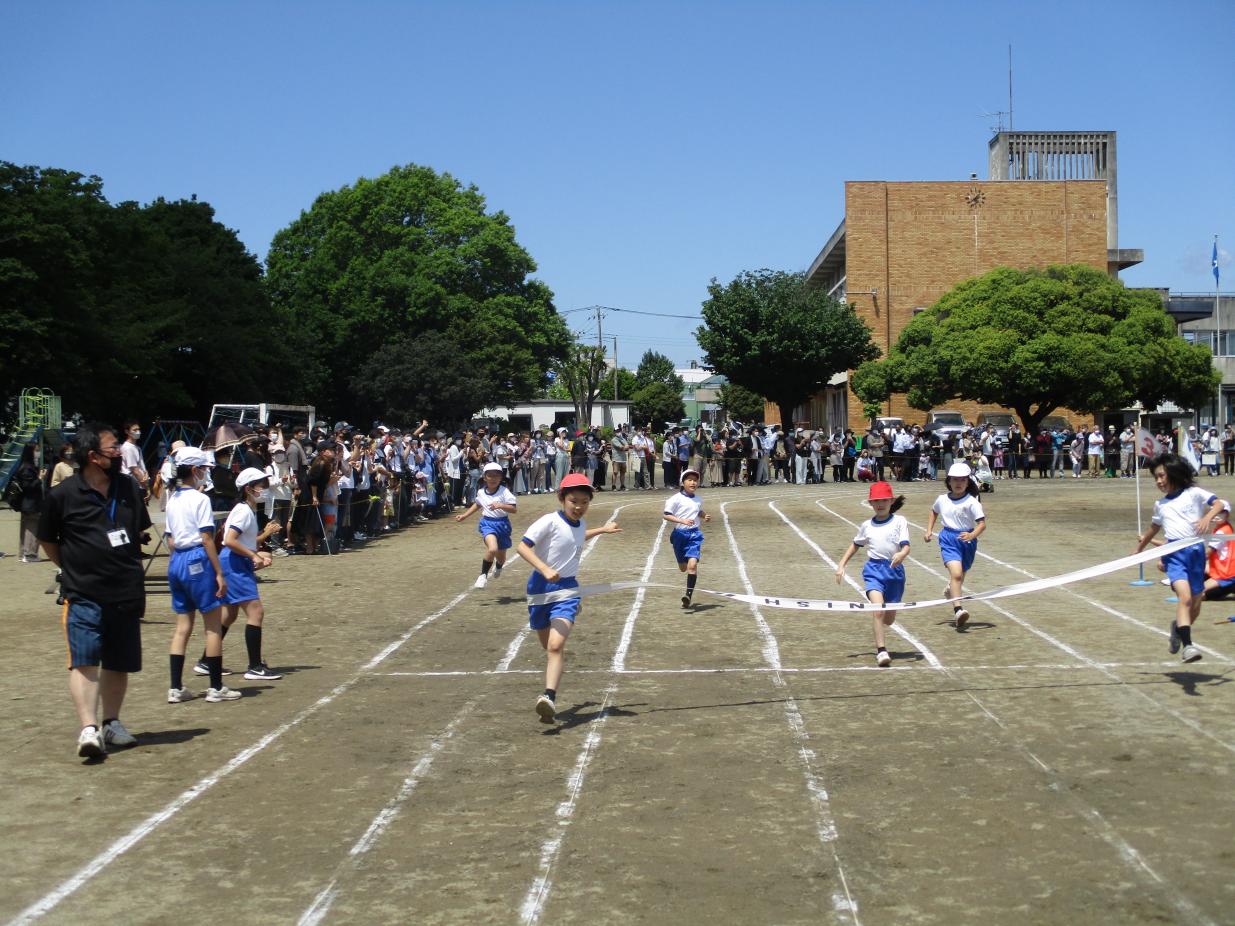 IMG_5360 IMG_5360