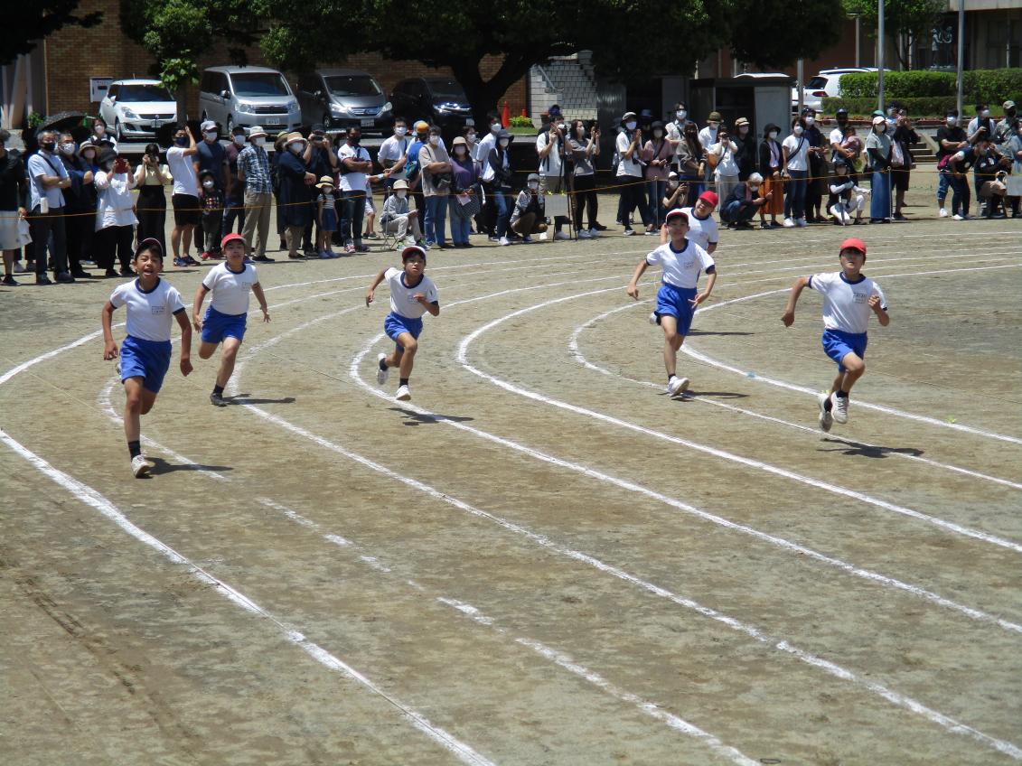IMG_5430 IMG_5430