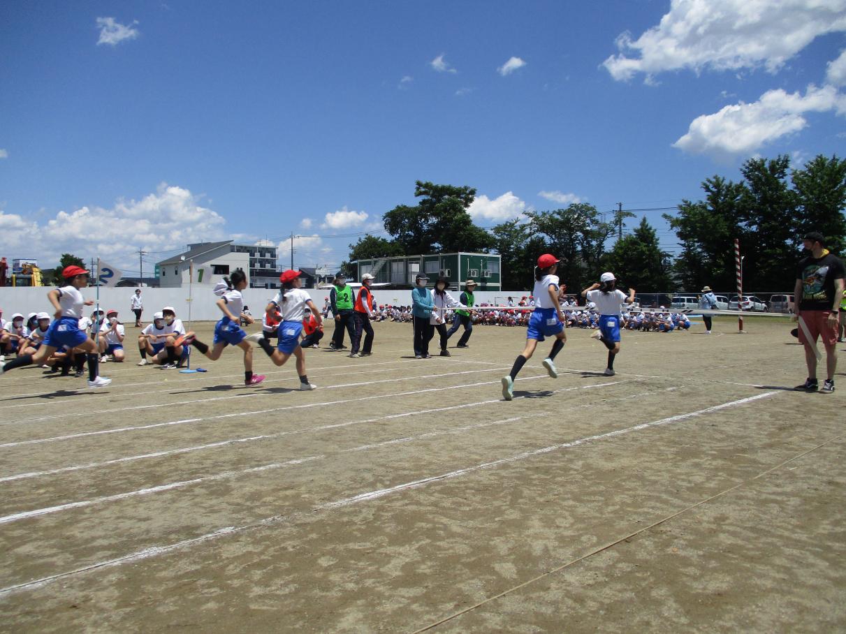 IMG_5428 IMG_5428