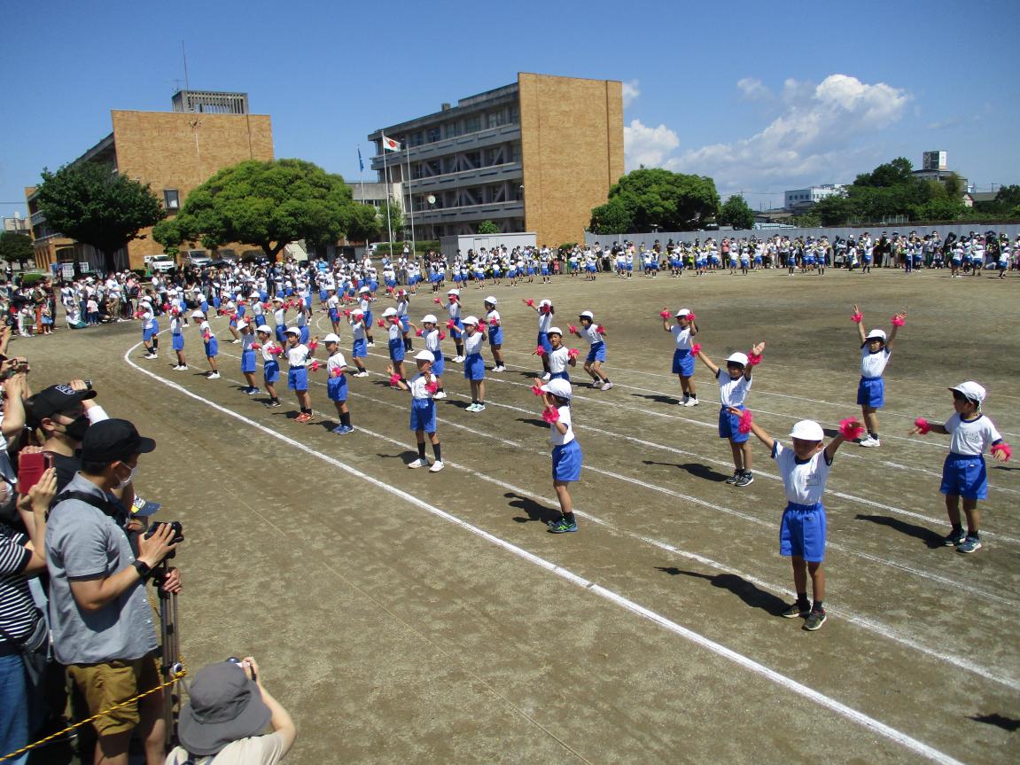 IMG_5336 IMG_5336