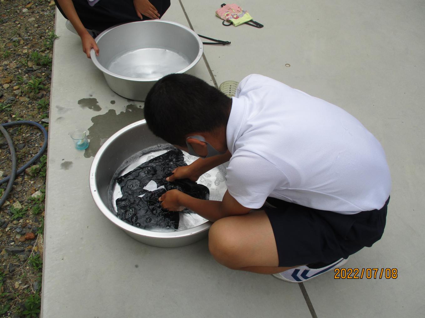 IMG_4852 IMG_4852