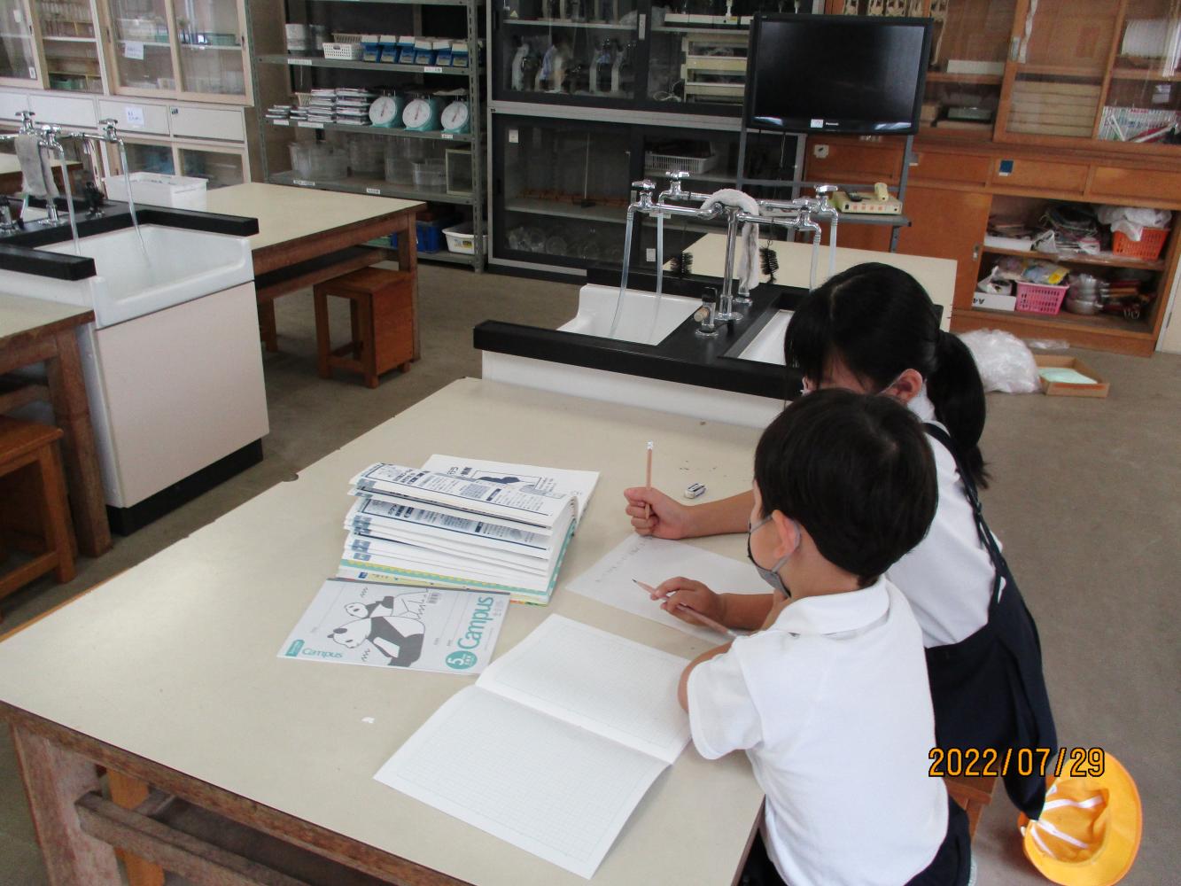 自由研究相談会 自由研究相談会