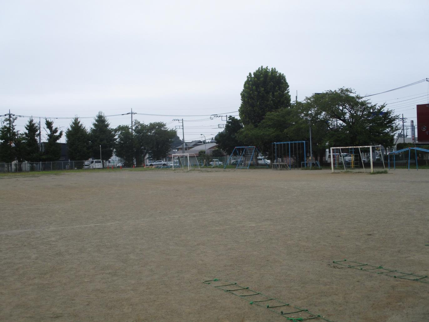 IMG_6223 IMG_6223