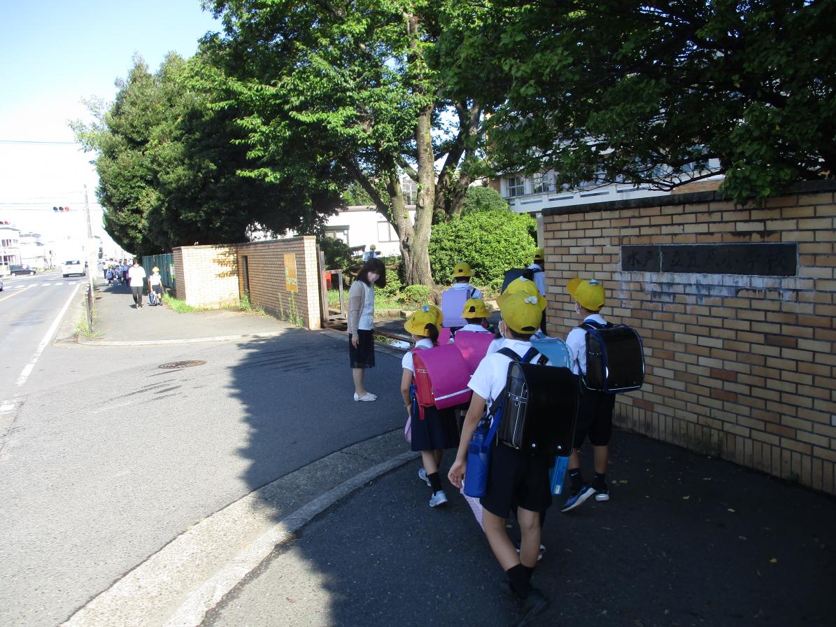 IMG_6253 IMG_6253