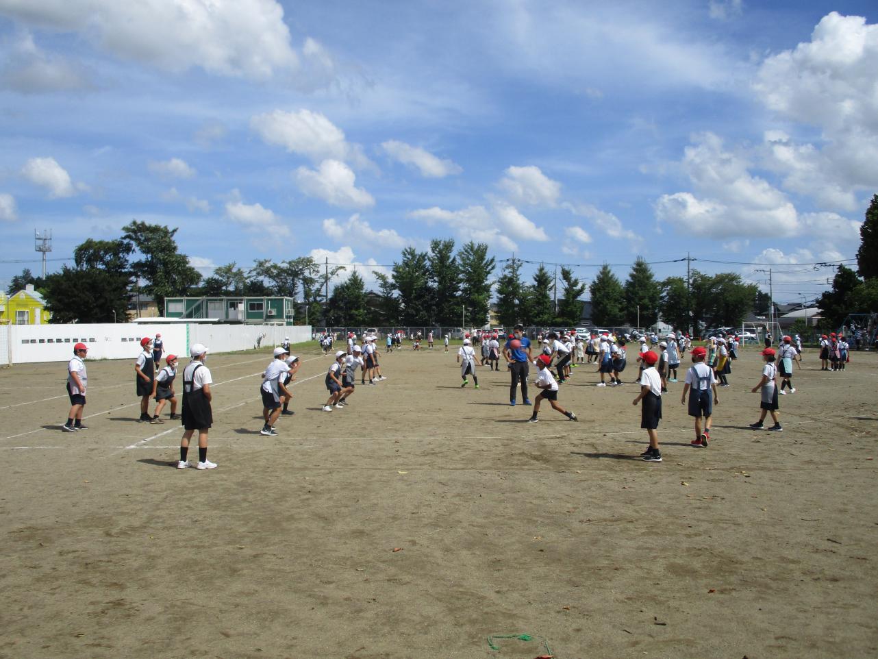 IMG_6368 IMG_6368