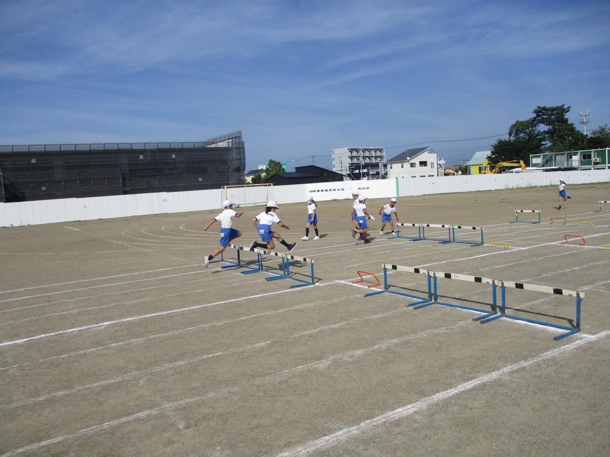 IMG_6442 IMG_6442