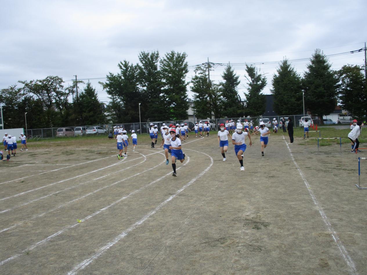 IMG_6486 IMG_6486