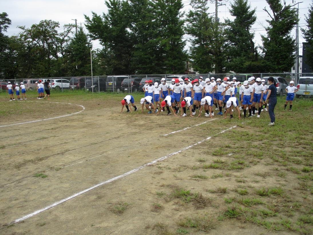 IMG_6490 IMG_6490