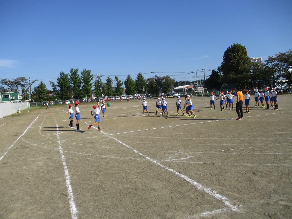 IMG_6658 IMG_6658