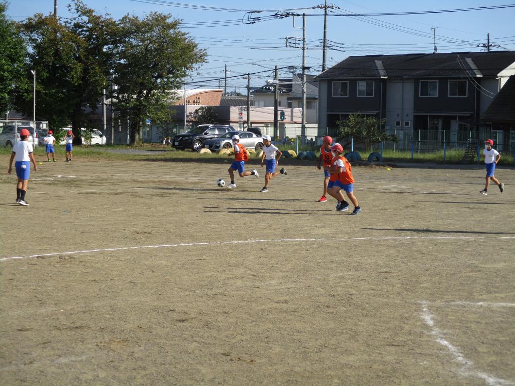 IMG_6662 IMG_6662