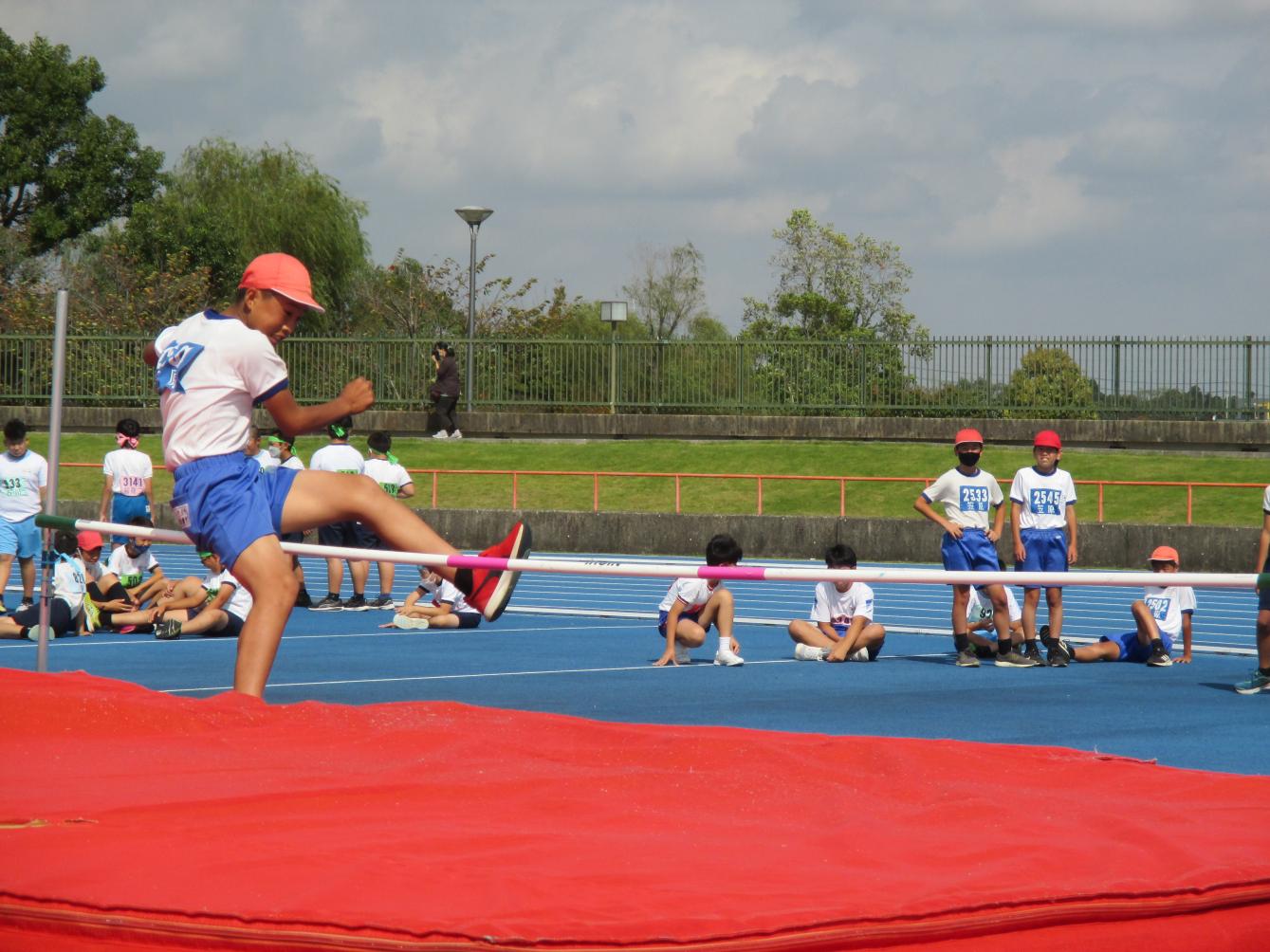 IMG_2241 IMG_2241