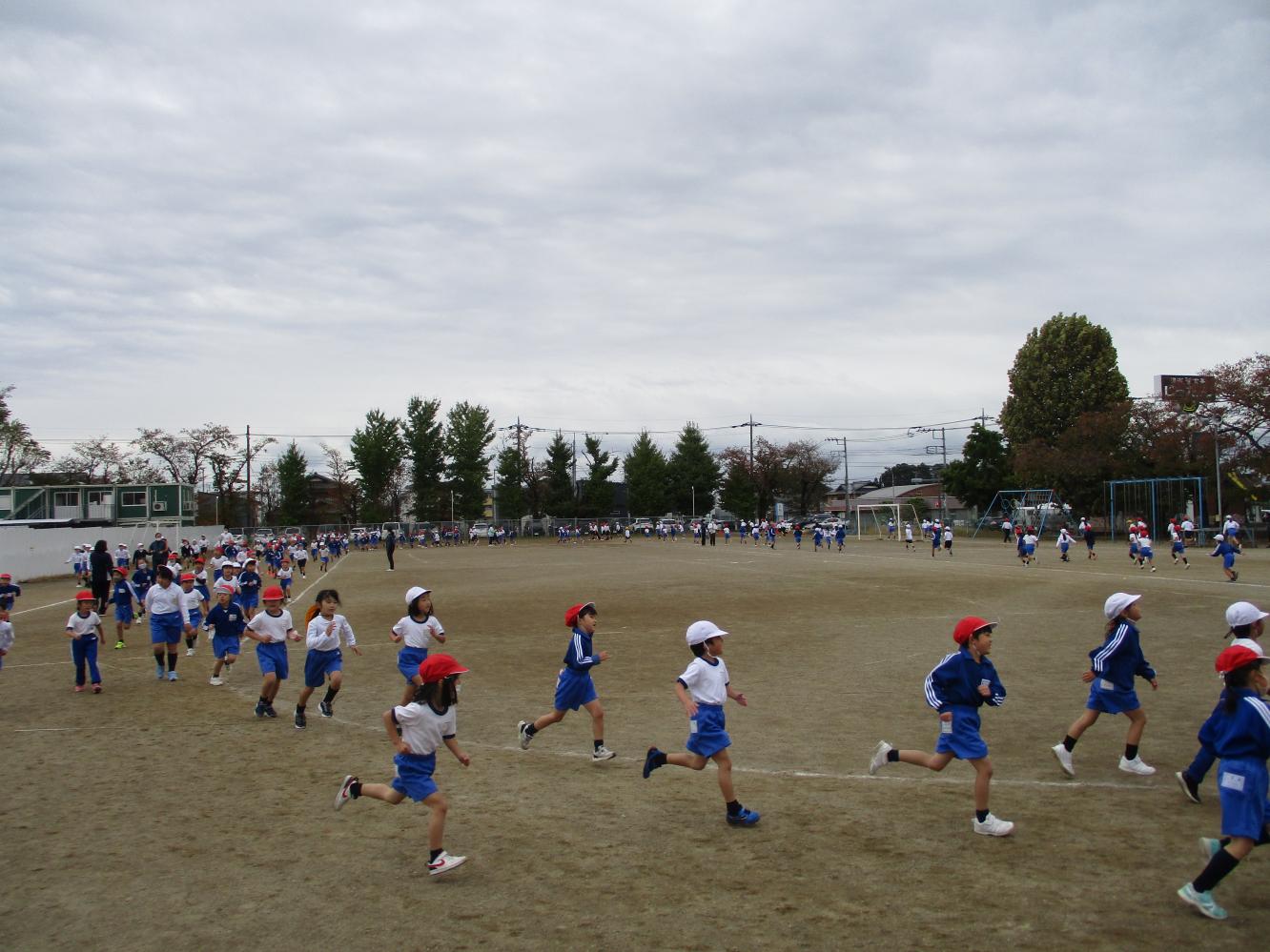 IMG_7095 IMG_7095