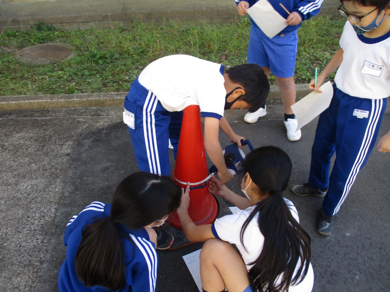 IMG_7130 IMG_7130