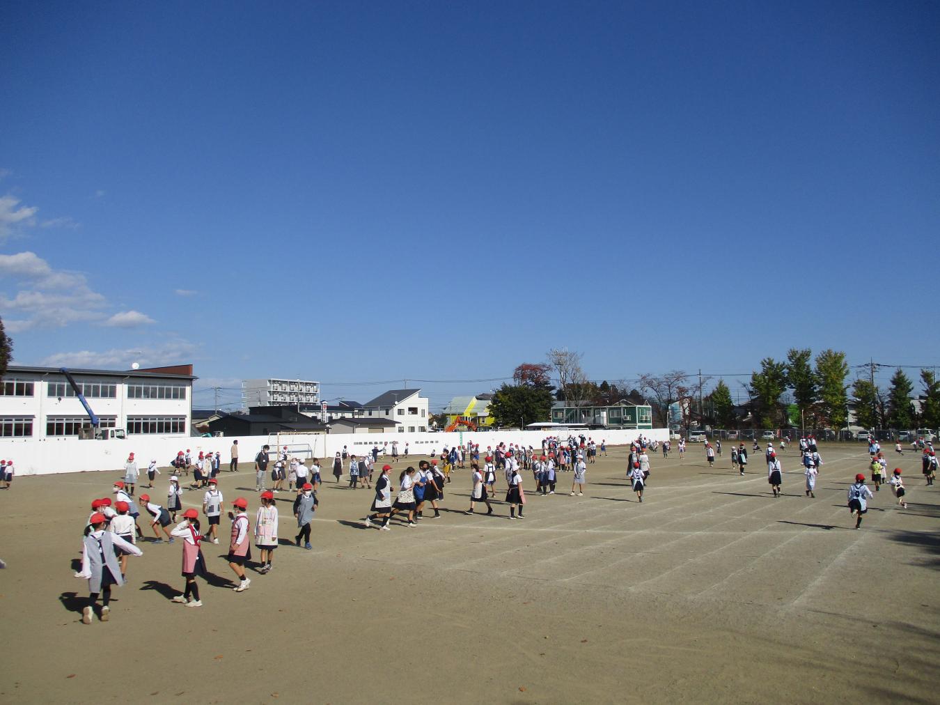 IMG_7335 IMG_7335