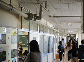 IMG_8043 IMG_8043