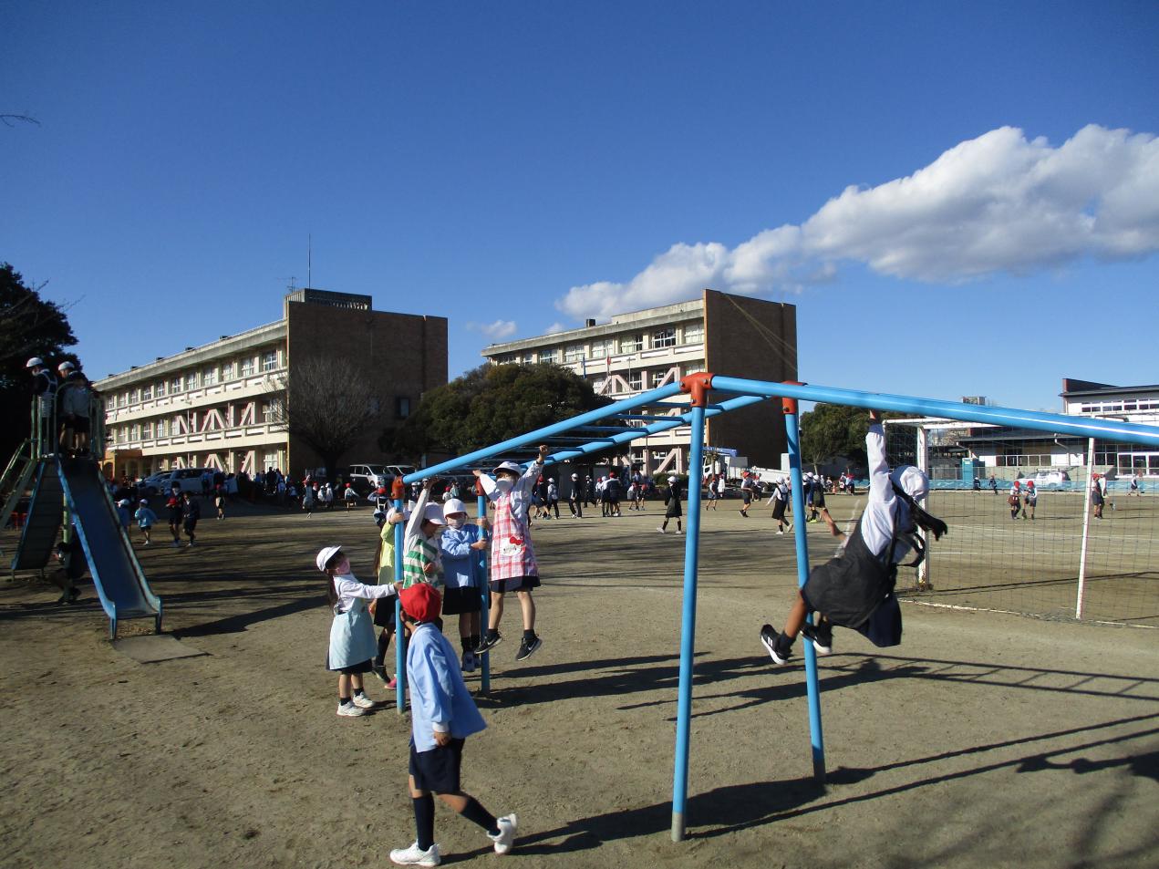 IMG_8253 IMG_8253