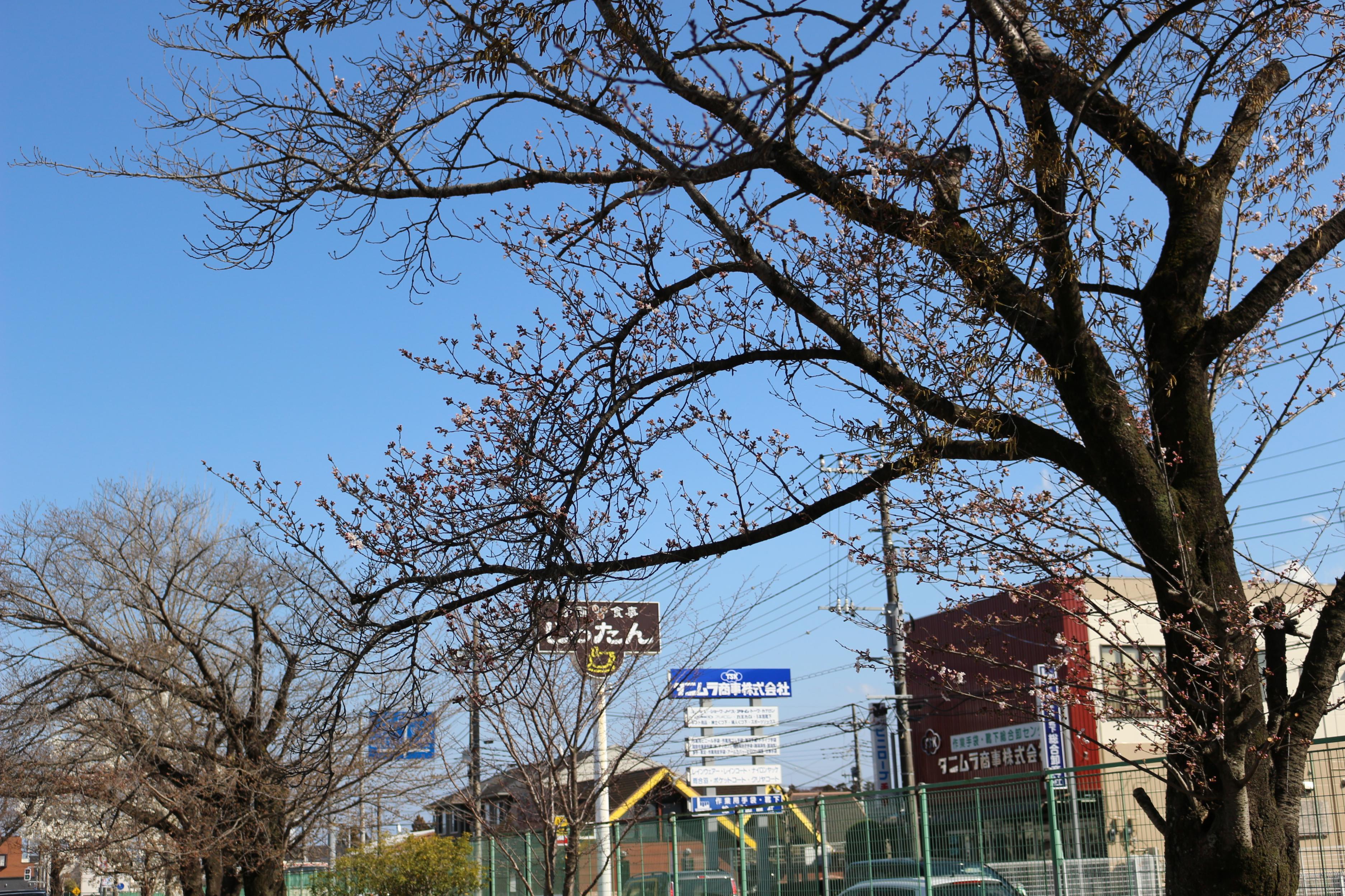 IMG_8132 IMG_8132