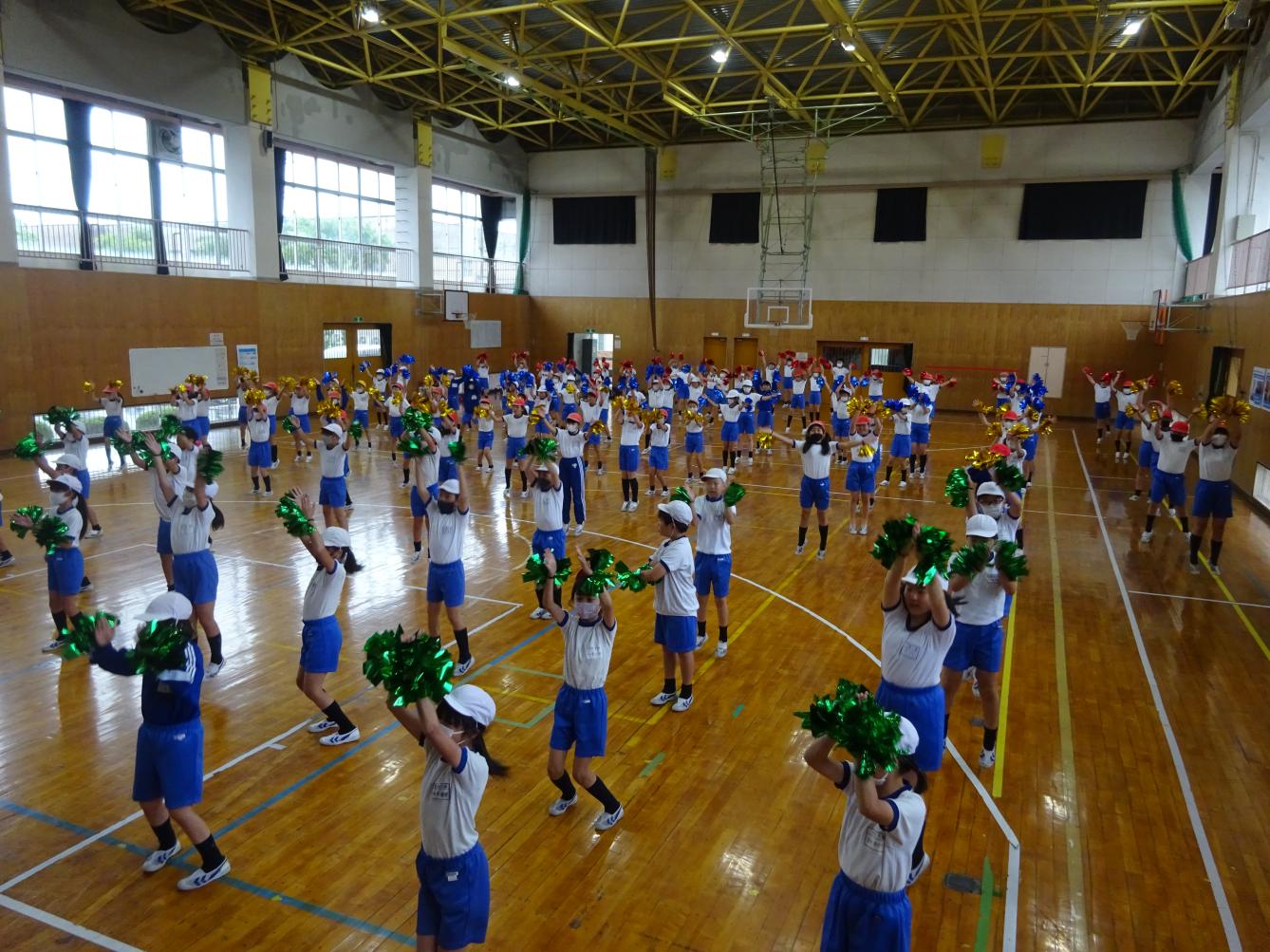 DSC07855 DSC07855
