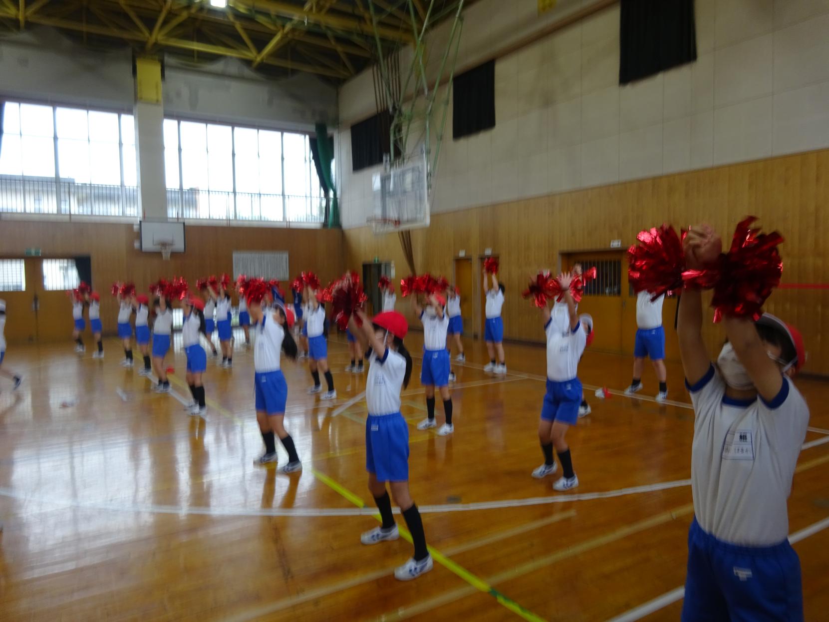 DSC07862 DSC07862