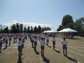 IMG_2572 IMG_2572