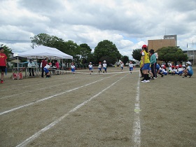IMG_2592 IMG_2592
