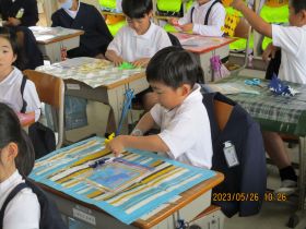 IMG_1081 IMG_1081