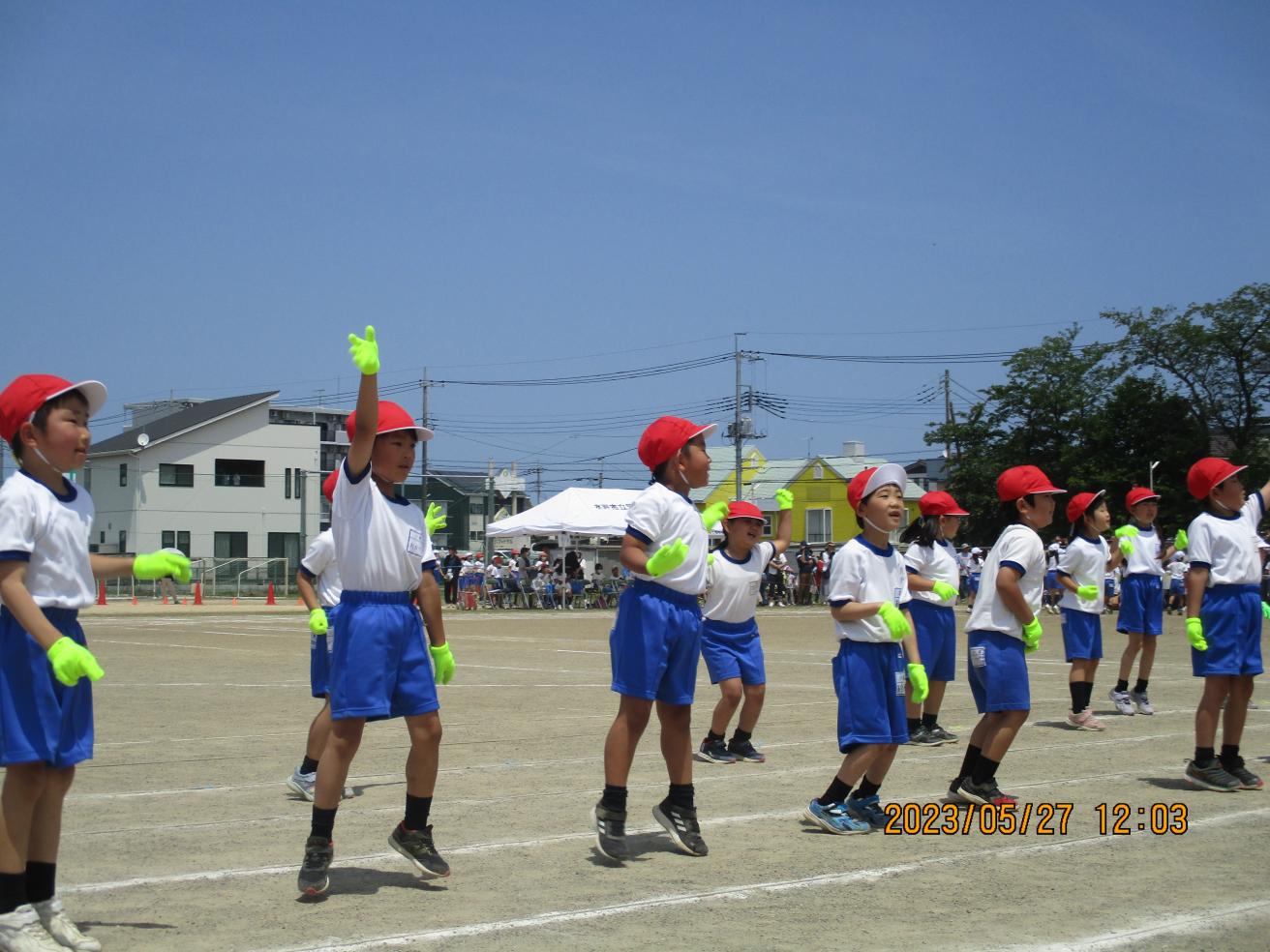 IMG_1105 IMG_1105