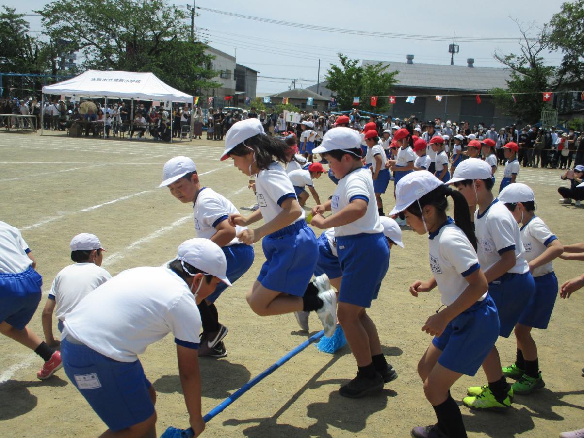 IMG_1650 IMG_1650