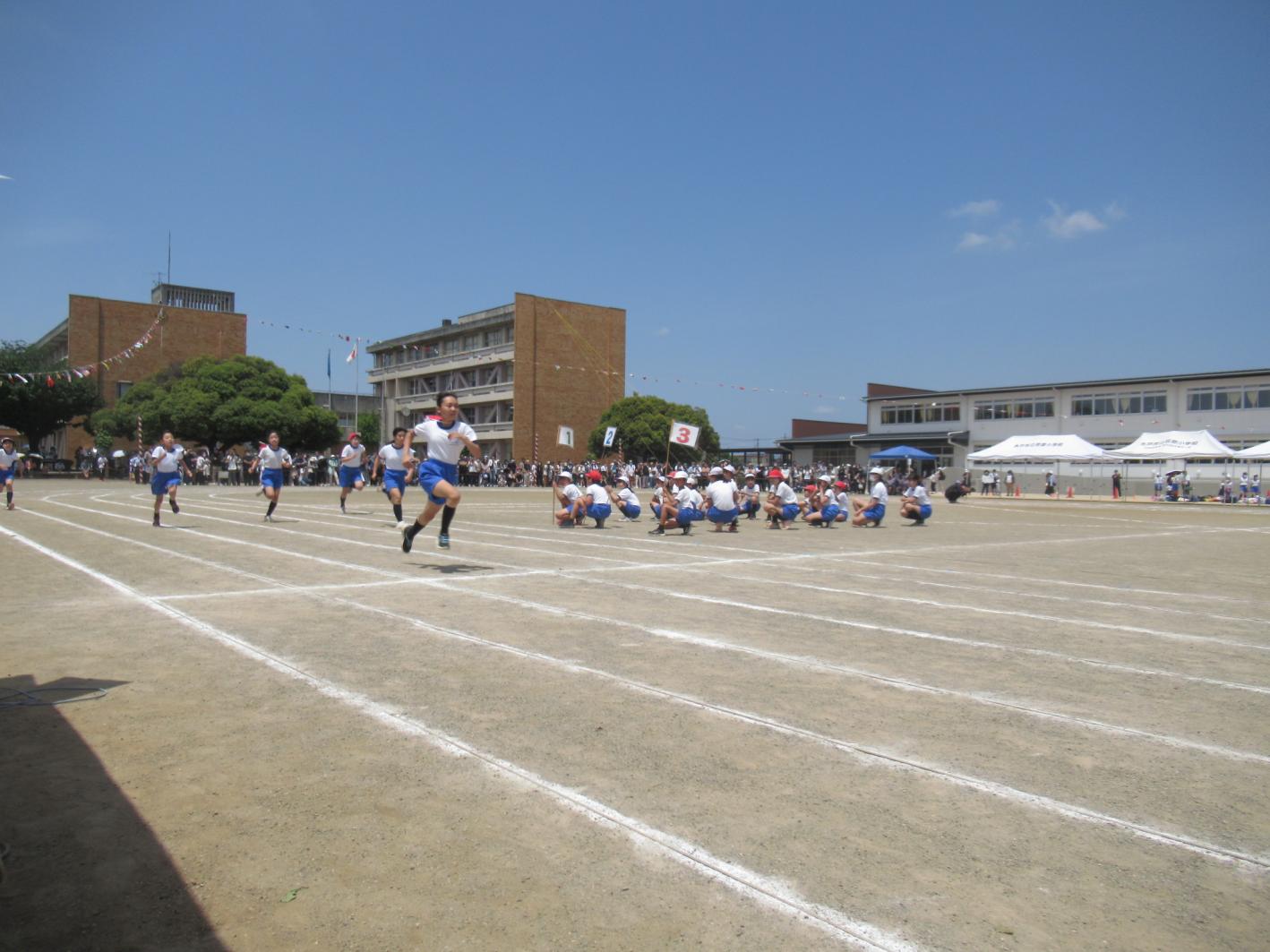 IMG_3890 IMG_3890