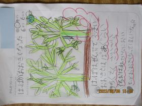 IMG_1137 IMG_1137