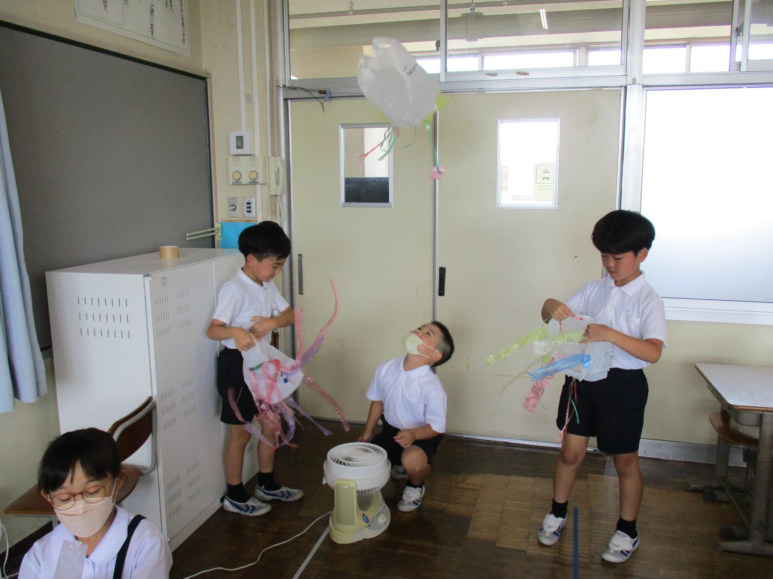 IMG_0863 IMG_0863
