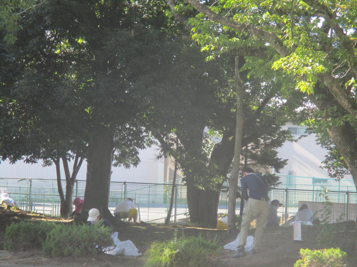 IMG_0380 IMG_0380