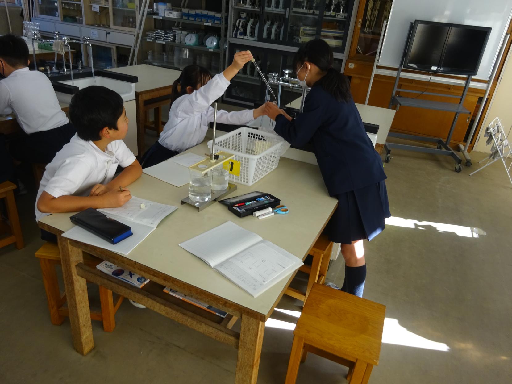 DSC08484 DSC08484