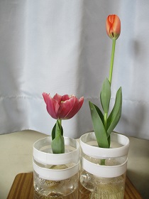 IMG_0221 IMG_0221