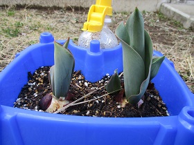 IMG_0220 IMG_0220