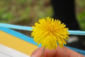 0426(7) 0426(7)