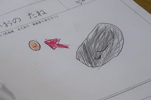0501(7)