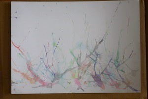 0507(8) 0507(8)
