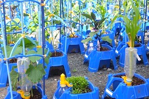 0524(16) 0524(16)