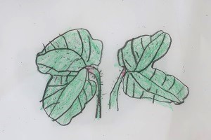0607(10) 0607(10)