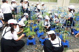 0621(1)