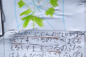 0627(8) 0627(8)