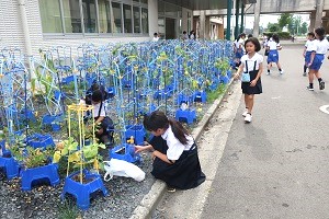 0709(2) 0709(2)
